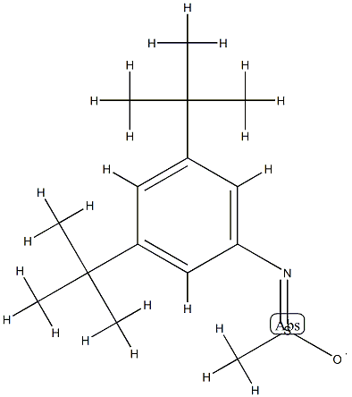 N-(3,5-Di-tert-butylphenyl)methanesulfinamido radical 结构式