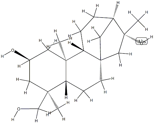蕨贝壳杉烷 R 结构式