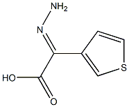 3-Thiopheneaceticacid,alpha-hydrazono-(9CI) 结构式