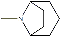 8-Azabicyclo[3.2.1]octane,8-methyl-,(8-anti)-(9CI) 结构式