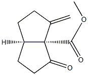 3a(1H)-Pentalenecarboxylicacid,hexahydro-3-methylene-4-oxo-,methylester,(3aR,6aR)-rel-(9CI) 结构式