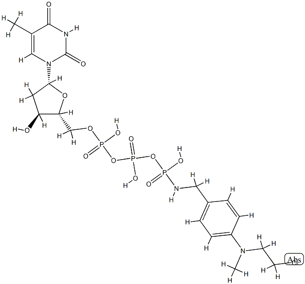 4-(N-(2-chloroethyl)-N-methylamino)benzyl-gamma-amide dTTP 结构式