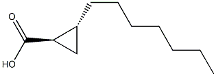 CISANDTRANS-2-HEPTYLCYCLOPROPANECARBOXYLICACID 结构式