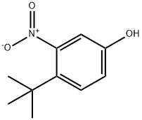 4-叔丁基-3-硝基苯酚 结构式