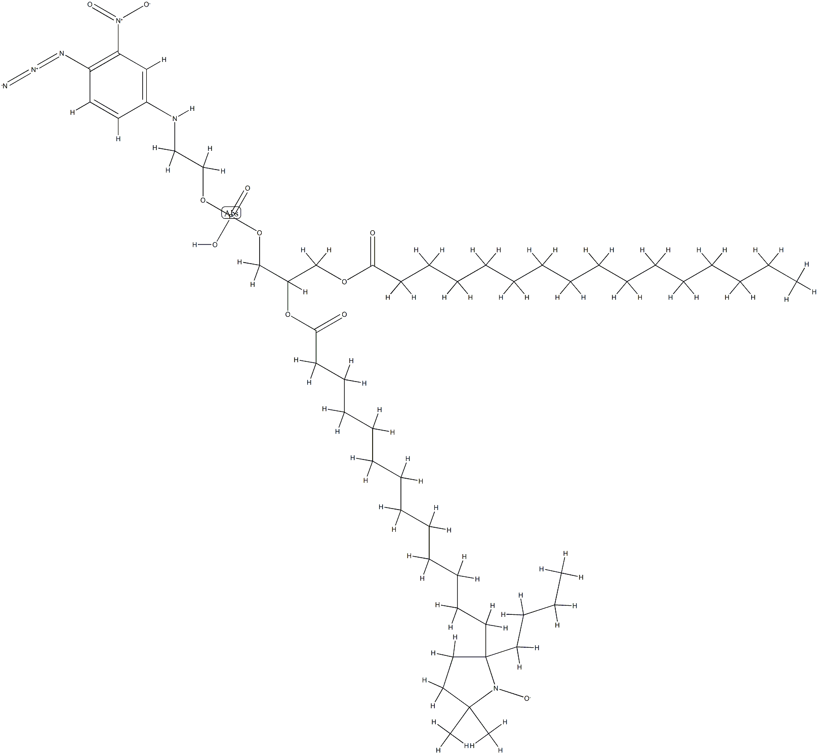 1-palmitoyl-2-(14-proxylstearoyl)glycero-3-phospho-N-(4-azido-3-nitrophenyl)ethanolamine 结构式