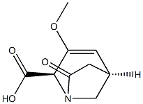 1-Azabicyclo[3.2.1]oct-3-ene-2-carboxylicacid,3-methoxy-7-oxo-,(1R,2S,5R)-rel-(9CI) 结构式