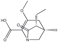 1-Azabicyclo[3.2.1]oct-2-ene-2-carboxylicacid,6-ethyl-3-methoxy-7-oxo-,(1R,5S,6S)-rel-(9CI) 结构式