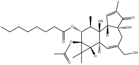 Octanoic acid, 9a-(acetyloxy)-1a,1b,4,4a,5,7a,7b,8,9,9a-decahydro-4a,7 b-dihydroxy-3-(hydroxymethyl)-1,1,6,8-tetramethyl-5-oxo-1H-cyclopropa( 3,4)benz(1,2-e)azulen-9-yl ester, (1aR-(1aalpha,1bbeta,4abeta,7aalpha, 7balpha,8alpha,9beta,9aalpha))- 结构式