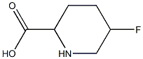 2-Piperidinecarboxylicacid,5-fluoro-(9CI) 结构式