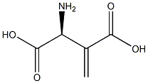 beta-methyleneaspartate 结构式