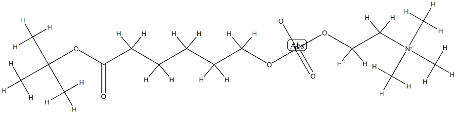 tert-Butyl 6-(O-Phosphorylcholine)hydroxyhexanoate 结构式