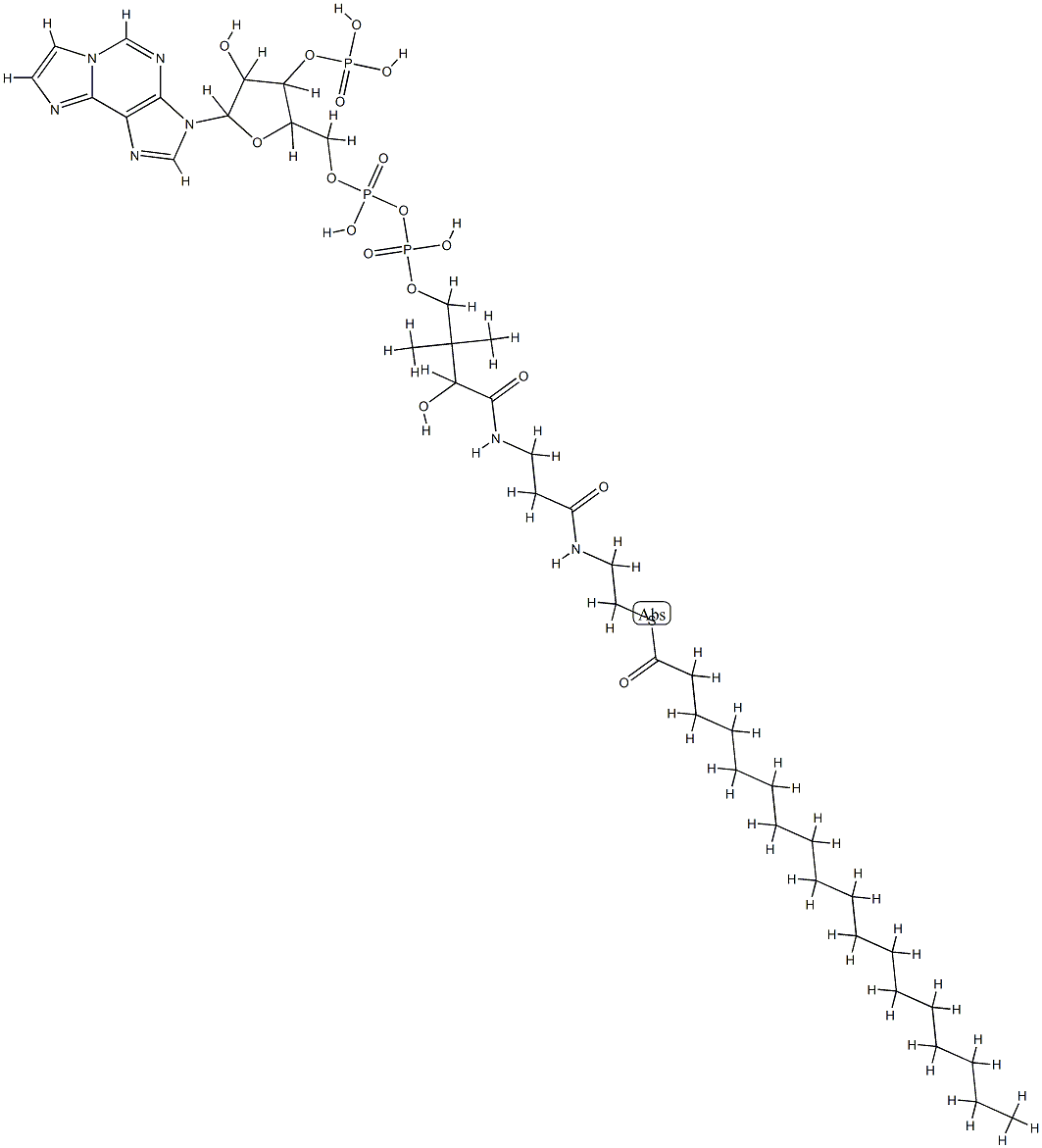 stearoyl-(1,N(6))-etheno-coenzyme A 结构式