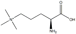 poly(N(delta),N(delta),N(delta)-trimethylornithine) 结构式