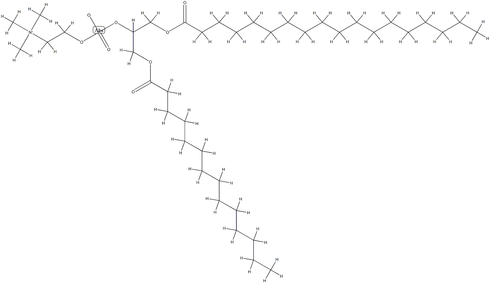 (1-十八碳酰基氧基-3-十四碳酰氧基丙-2-基)2-三甲基铵乙基磷酸酯 结构式