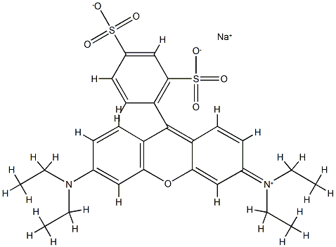 Ammonium, (6-(diethylamino)-9-(2,4-disulfophenyl)-3H-xanthen-3-ylidene)diethyl-, hydroxide, inner salt, sodium salt 结构式