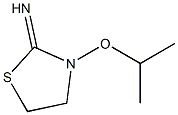 2-Thiazolidinimine,3-(1-methylethoxy)-(9CI) 结构式