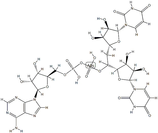 uridylyl-(3'-5')-adenylyl-(3'-5')uridine 结构式