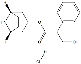 Noratropine Hydrochloride 结构式