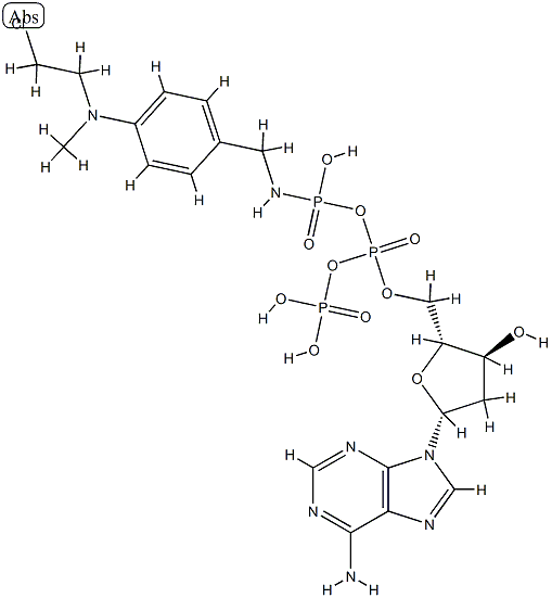 4-(N-2-chloroethyl-N-methylamino)benzyl-gamma-amide dATP 结构式