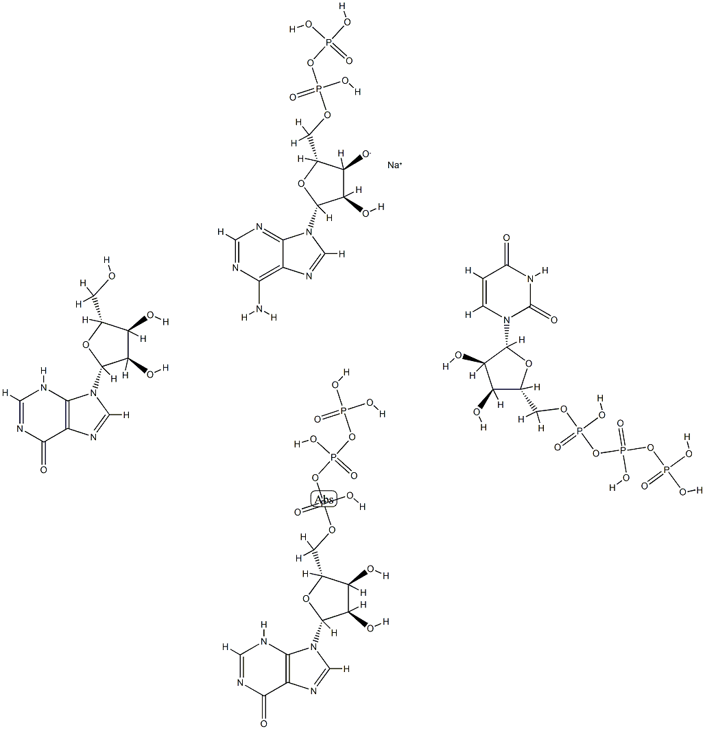 sodium, (2R,3R,4R,5R)-5-(6-aminopurin-9-yl)-4-hydroxy-2-[(hydroxy-phos phonooxy-phosphoryl)oxymethyl]oxolan-3-olate, 9-[(2R,3R,4R,5R)-3,4-dih ydroxy-5-(hydroxymethyl)oxolan-2-yl]-3H-purin-6-one, [[[(2R,3R,4R,5R)- 3,4-dihydroxy-5-(6-oxo-3H-purin-9-yl)oxolan-2-yl]methoxy-hydroxy-phosp horyl]oxy-hydroxy-phosphoryl]oxyphosphonic acid, [[[(2R,3R,4R,5R)-5-(2 ,4-dioxopyrimidin-1-yl)-3,4-dihydroxy-oxolan-2-yl]methoxy-hydroxy-phos phoryl]oxy-hydroxy-phosphoryl]oxyphosphonic acid 结构式