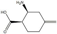 Cyclohexanecarboxylic acid, 2-amino-4-methylene-, (1R,2S)-rel- (9CI) 结构式