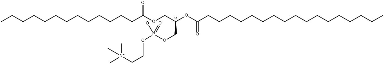 1-myristoyl-2-stearoyl-sn-glycero-3-phosphocholine