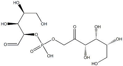 [(3S,4R,5R)-3,4,5,6-四羟基-2-氧代己基][(2R,3S,4S)-3,4,5-三羟基-1-氧代戊烷-2-基]氢磷酸酯 结构式