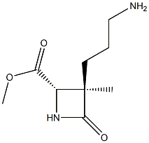 2-Azetidinecarboxylicacid,3-(3-aminopropyl)-3-methyl-4-oxo-,methylester,(2R,3S)-rel-(9CI) 结构式