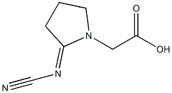 1-Pyrrolidineaceticacid,2-(cyanoimino)-(9CI) 结构式