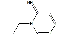 2(1H)-Pyridinimine,1-propyl-(9CI) 结构式