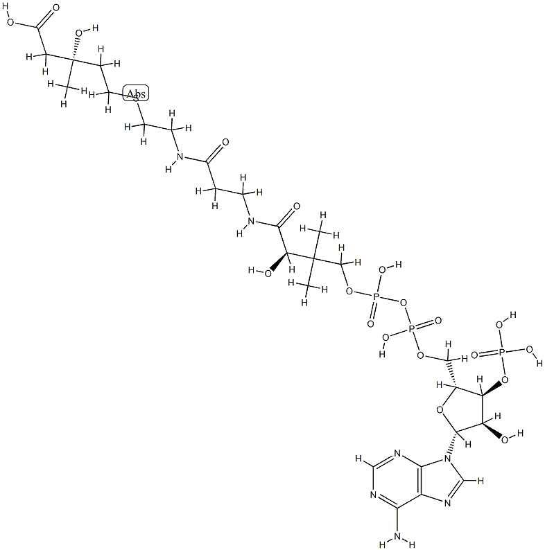 3-hydroxy-3-methyl-4-carboxybutyl-coenzyme A 结构式