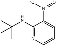 N-叔丁基-3-硝基吡啶-2-胺 结构式