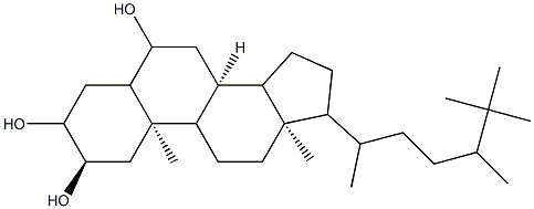 (24ξ)-25-Methyl-5α-ergostane-2β,3α,6α-triol 结构式