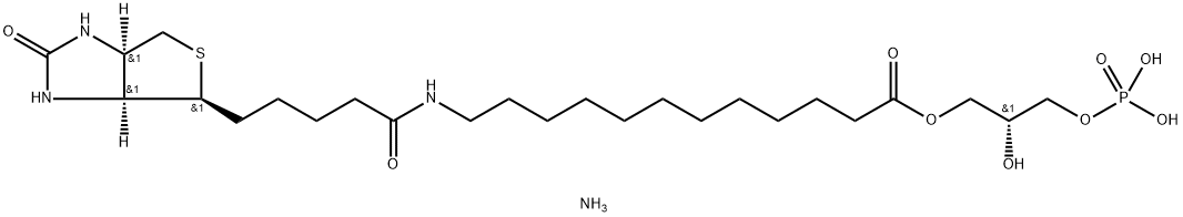 1-[12-BIOTINYL(AMINODODECANOYL)]-2-HYDROXY-SN-GLYCERO-3-PHOSPHATE (AMMONIUM SALT);12:0 BIOTINYL LPA 结构式