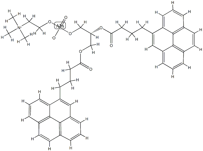 1,2-bis(4-(1-pyreno)butanoyl)-sn-glycero-3-phosphorylcholine 结构式