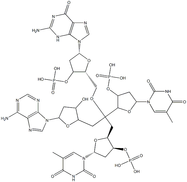 2'-deoxyadenylyl(3'-5')thymidylyl(3'-5')deoxyguanosylyl(3'-5')thymidine 结构式