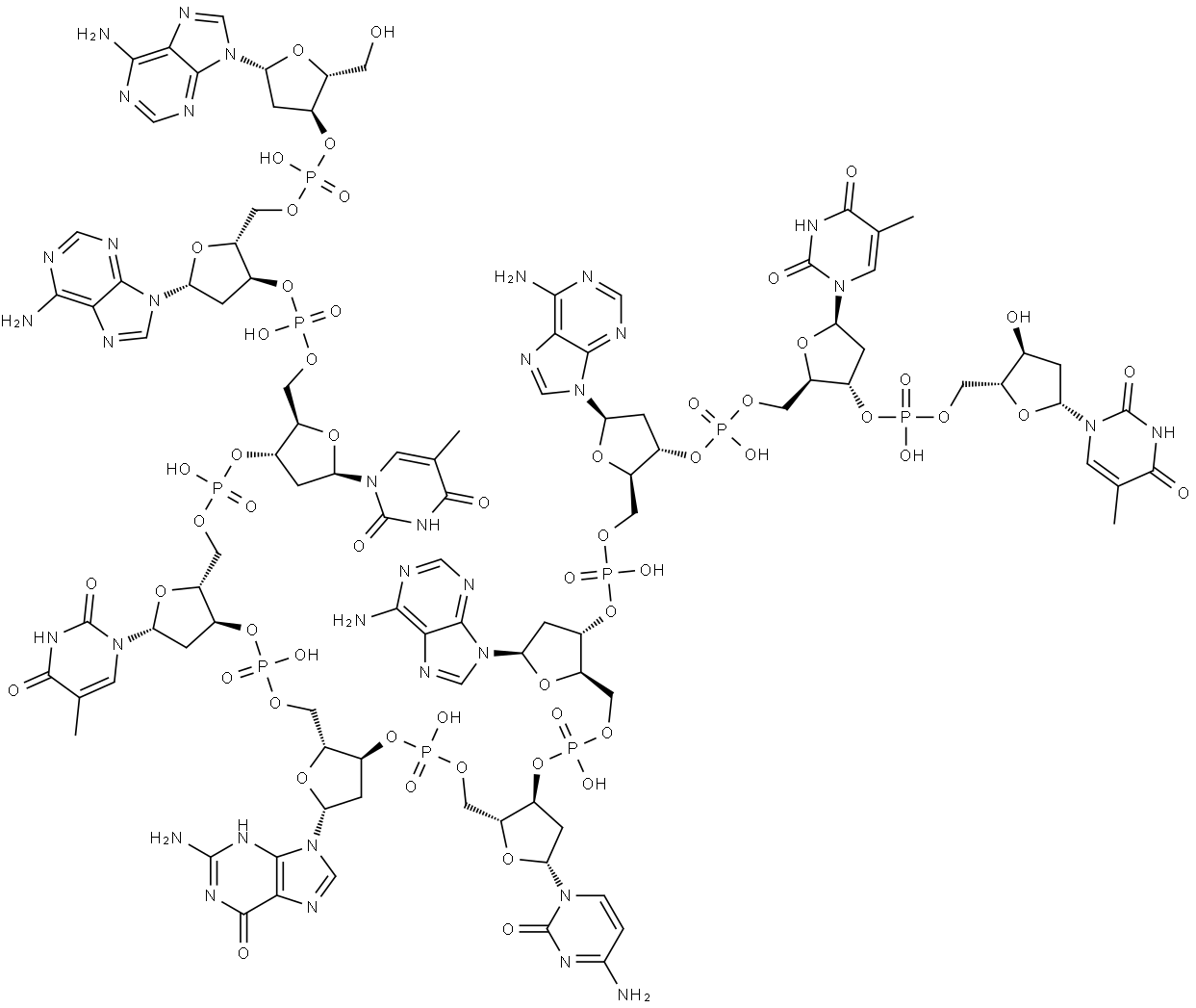 d(AATTGCAATT) 结构式