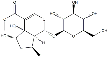 pedicularioside 结构式