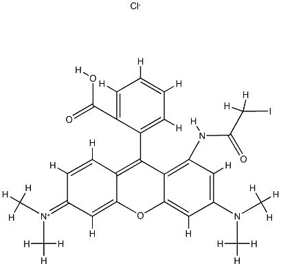 tetramethylrhodamine iodoacetamide 结构式