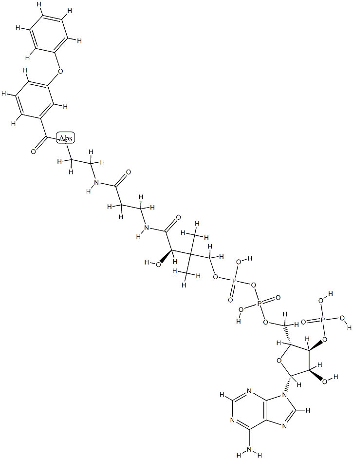 3-phenoxybenzoyl-coenzyme A 结构式