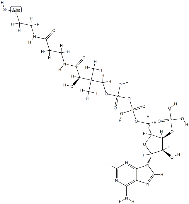 coenzyme A persulfide 结构式