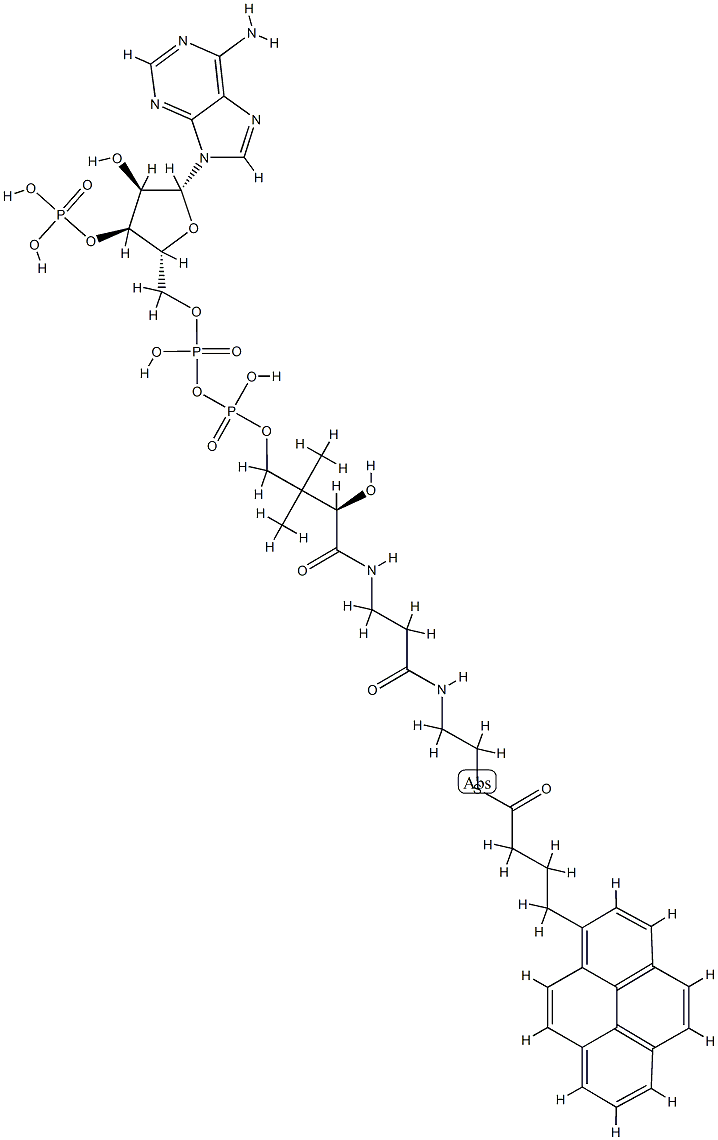 1-PYRENEBUTANOYL COENZYME A (AMMONIUM SALT);04:0 PYRENE COENZYME A 结构式