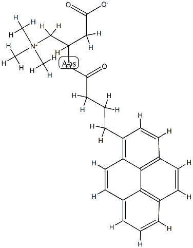 (1-Pyrenebutyryl)carnitine 结构式