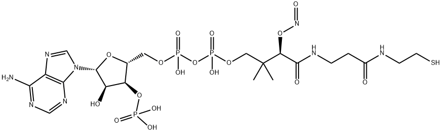 S-nitroso-coenzyme A 结构式