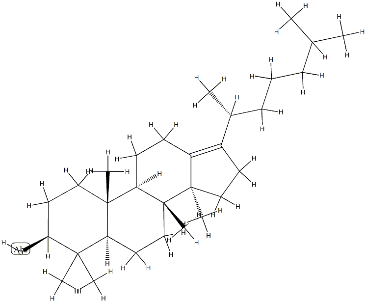 5α-Dammar-13(17)-en-3β-ol 结构式