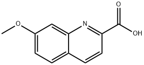 2-Quinolinecarboxylicacid,7-methoxy-(9CI) 结构式