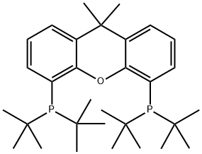 9,9-二甲基-4,5-双(二叔丁基膦)二苯并-Γ-吡喃 结构式