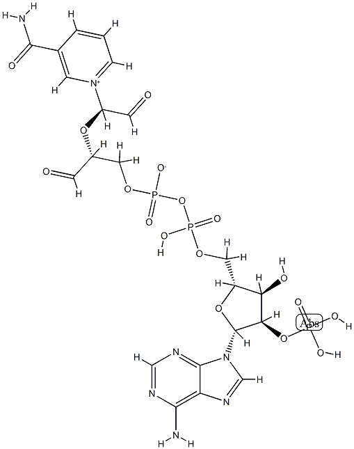 2',3'-dialdehyde NADP 结构式