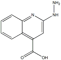4-Quinolinecarboxylicacid,2-hydrazino-(9CI) 结构式