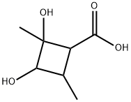 Cyclobutanecarboxylic acid, 2,3-dihydroxy-2,4-dimethyl- (6CI,7CI) 结构式